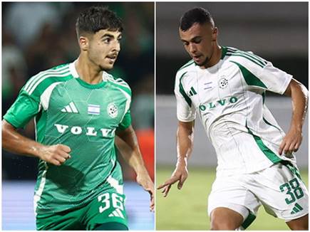 (מאור אלקסלסי) (מאור אלקסלסי)