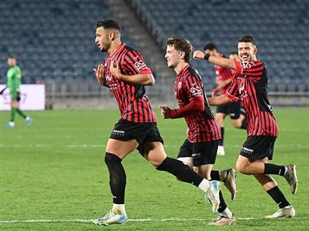 אלמוג חוגג (ברני ארדוב)