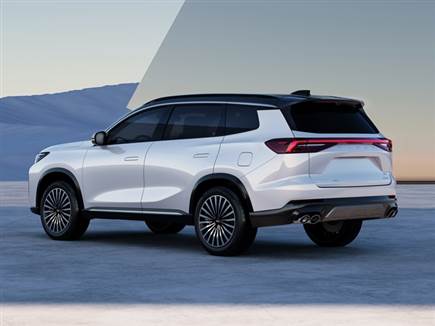 ויש גם ידיות נשלפות