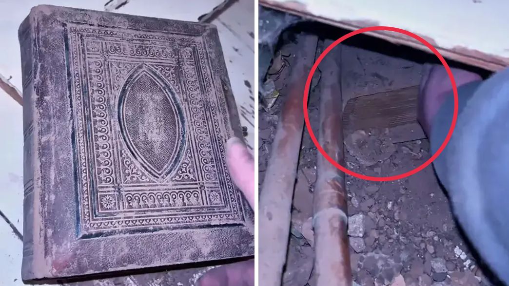 אמיליה (צילום: מתוך הרשתות החברתיות לפי סעיף 27א' לחוק זכויות יוצרים)