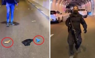 אקדחים (צילום: משטרת ישראל, קשת)