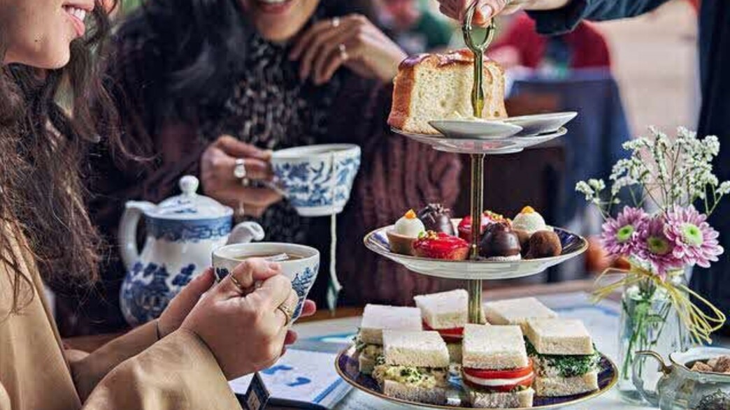 שעת תה בעלמה שעת תה בעלמה