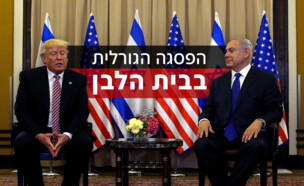 בנימין נתניהו, דונלד טראמפ (צילום: רויטרס)