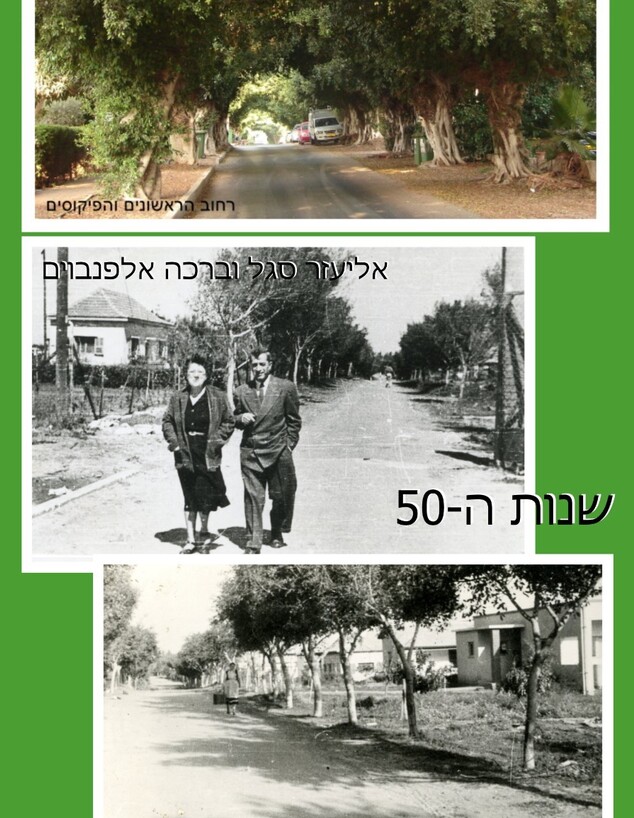 בית חירות ג (צילום: אבנר אביגדור)