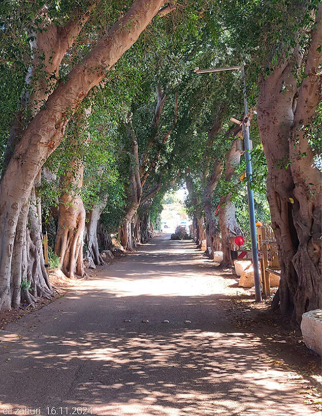 ביתן אהרון ג (צילום: אלי זהורי)