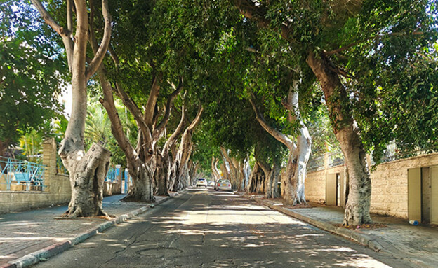 הרצליה רחוב הנשיא יצחק בן צבי (צילום: יובל קלר)