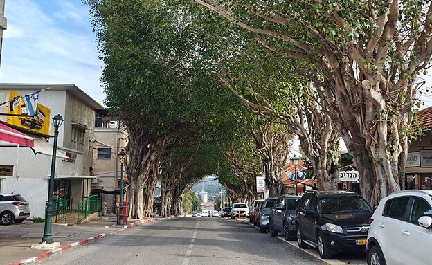 זיכרון יעקב (צילום: לימור קלר)