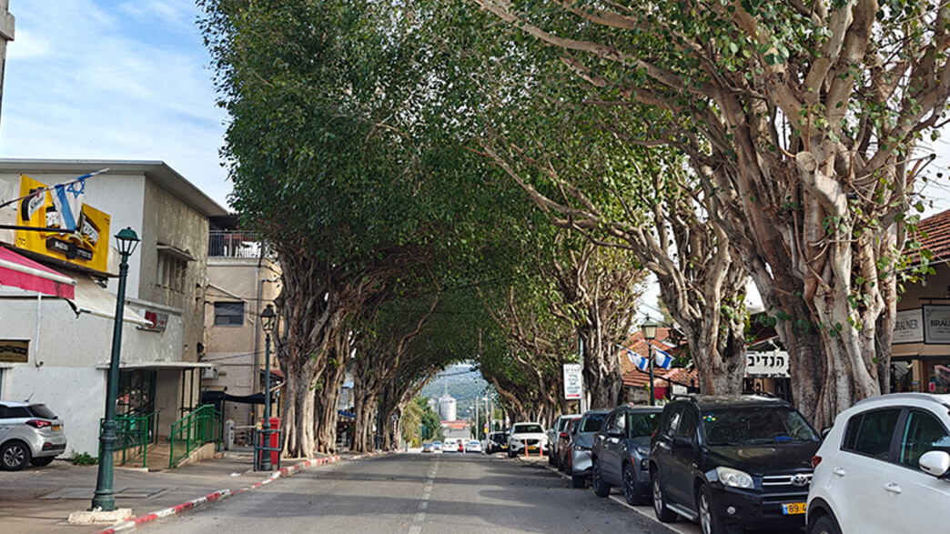 זיכרון יעקב זיכרון יעקב