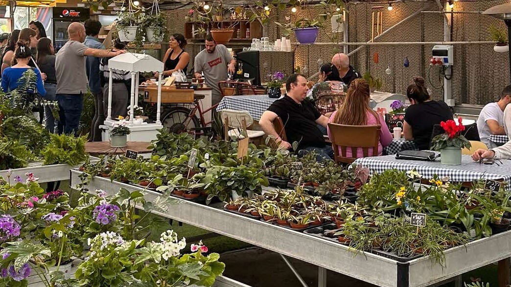 קפה נטע קפה נטע