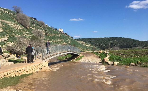 טיילת נחל ציפורי  (צילום: מירב טלמור-קשי)