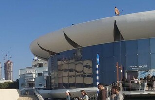 אנשים שהולכים בכיכר אתרים (צילום: אריאלה אפללו)