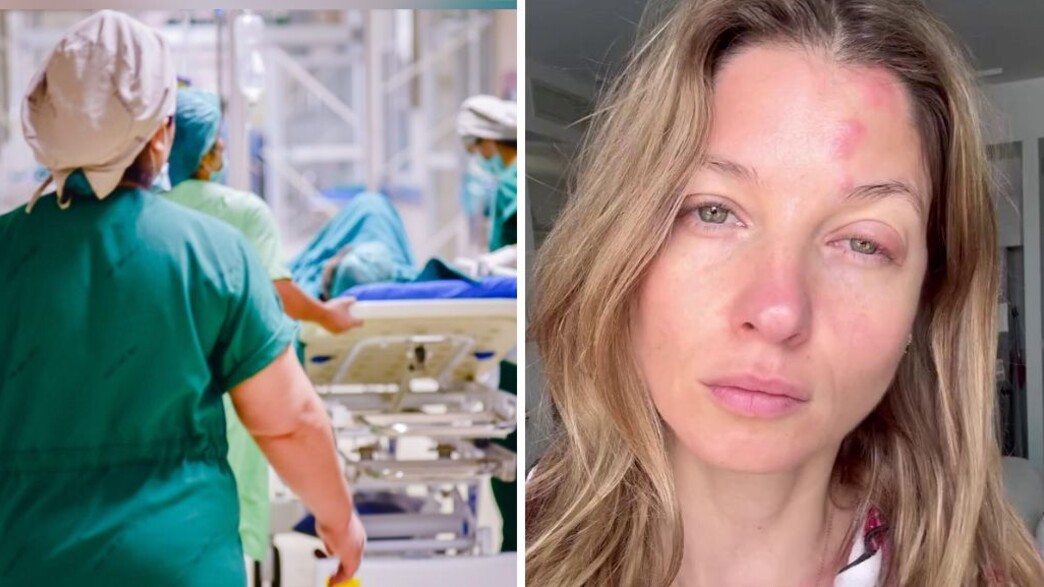 שלבקת חוגרת שלבקת חוגרת