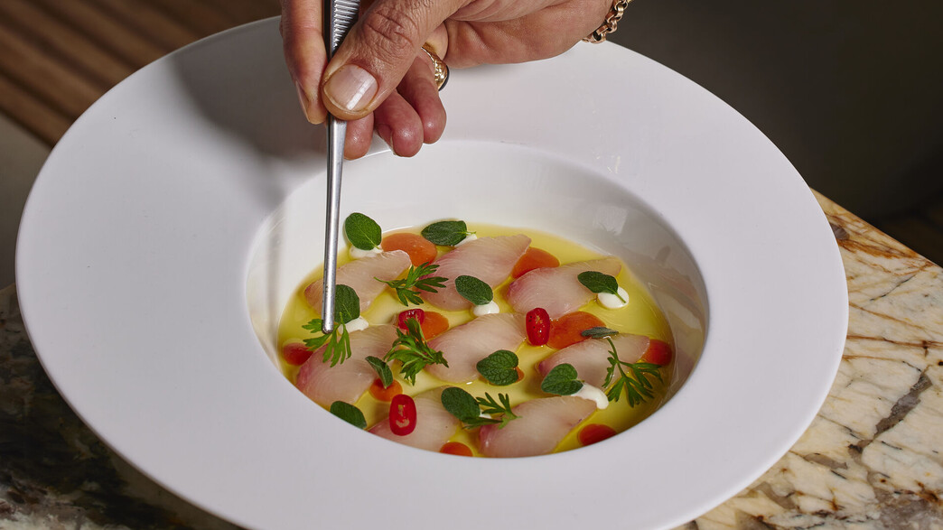 מסעדה כשרה חדשה של אביב משה באשדוד מסעדה כשרה חדשה של אביב משה באשדוד