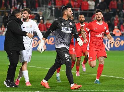 (ברני ארדוב) (ברני ארדוב)