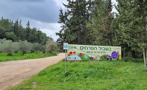 יער בן שמן יער בן שמן