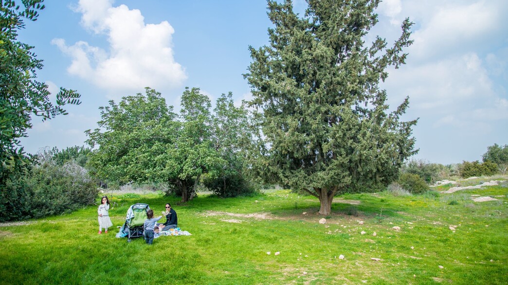 בית גוברין בית גוברין