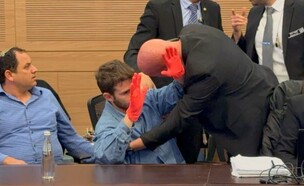 סערה בועדת חוקה (צילום: לפי סעיף 27 א')
