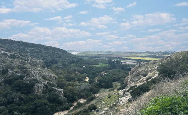 שביל סובב זכרון יעקב (צילום: מירב טלמור-קשי)