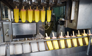 מפעל ארטיקים (צילום: Aleksandr Kurganov, shutterstock)