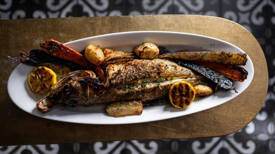 דגי פרא לחלוקה בדולפין ים הכשרה דגי פרא לחלוקה בדולפין ים הכשרה