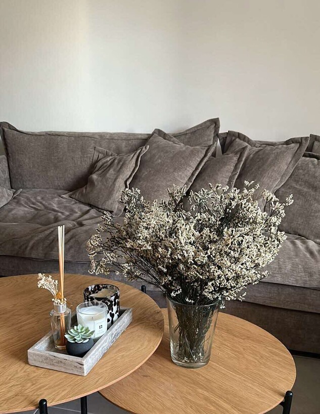 גל ומודי פינה בסלון אצל גל גל ומודי פינה בסלון אצל גל