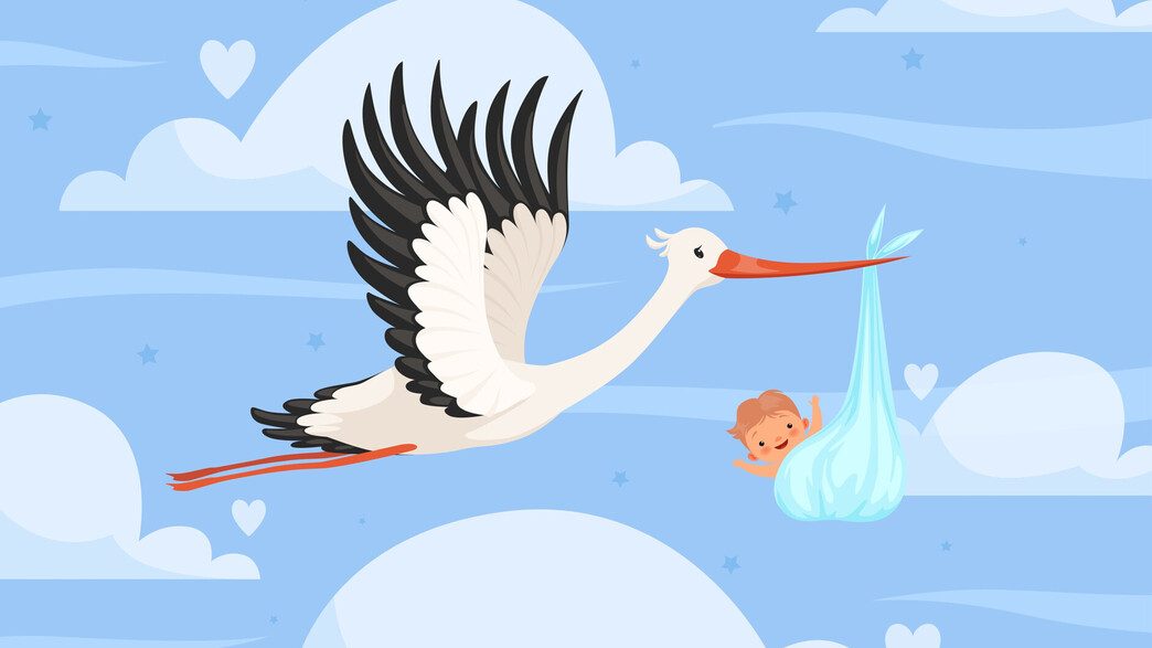 חסידה ותינוק  (צילום: shutterstock)