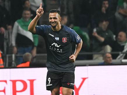 אלמוג, מצא בית בבירה (ברני ארדוב) אלמוג, מצא בית בבירה (ברני ארדוב)