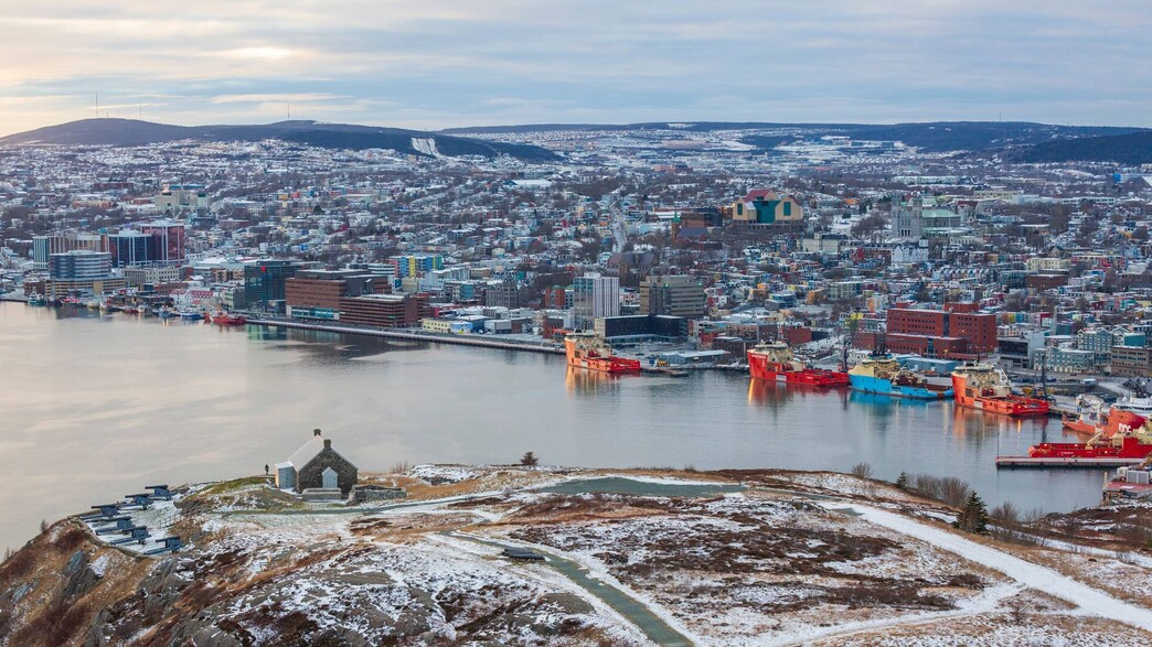 ניופאונדלנד ניופאונדלנד