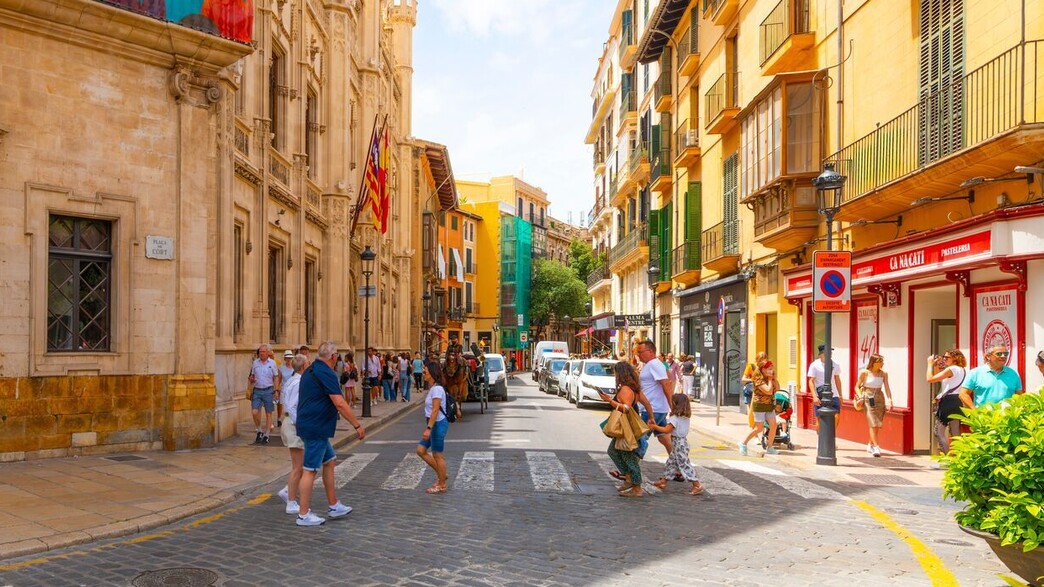 רחוב פלמה דה מיורקה רחוב פלמה דה מיורקה