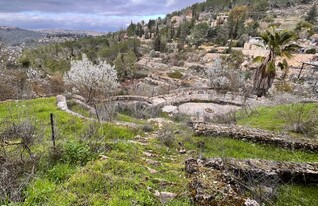 נוף עמק התימנים (צילום: דניאל ארזי)