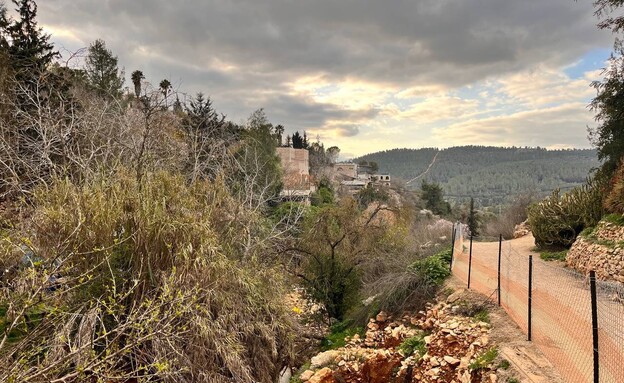 שביל עמק התימנים (צילום: דניאל ארזי)