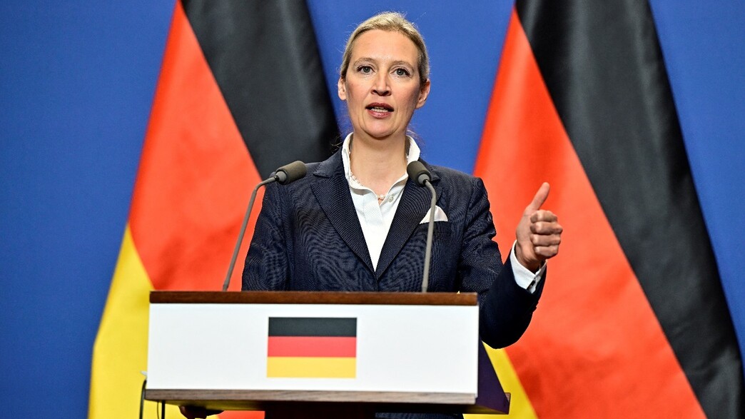 מנהיגת AFD אליס ויידל