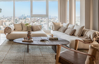 רביד הוניגמן , סלון (צילום: סיון אסקיו)