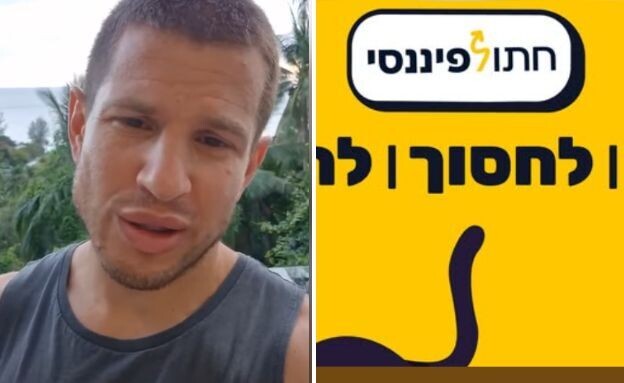 דב נודל, חתול פיננסי (צילום: facebook)