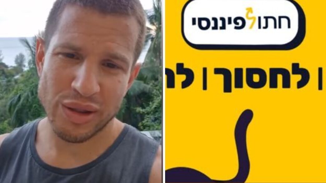 דב נודל, חתול פיננסי (צילום: facebook)