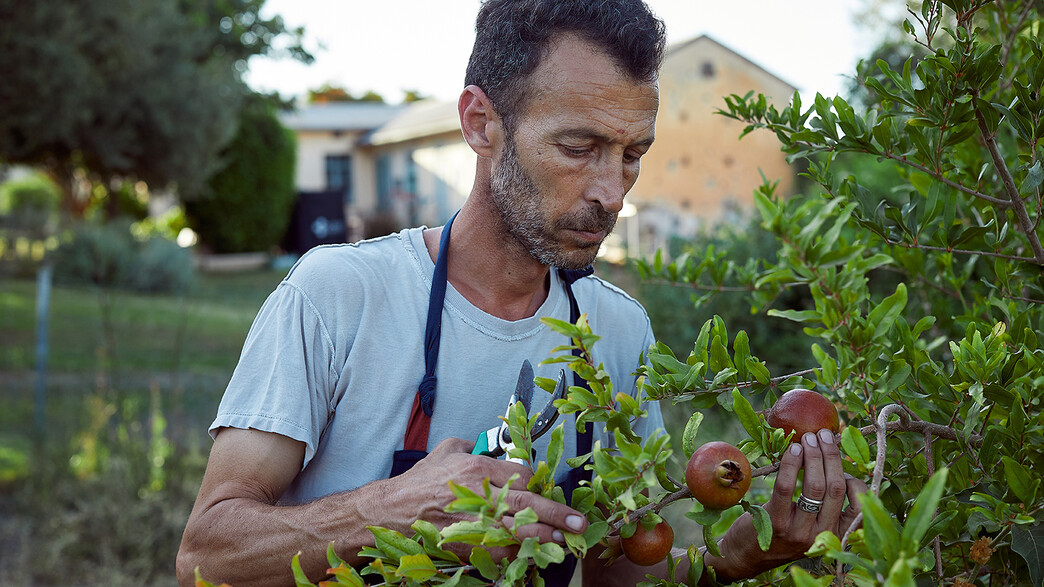 מסעדת רוטנברג - יזהר סהר מסעדת רוטנברג - יזהר סהר