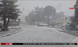 20snow_vtr2_n20250224_v1 (צילום: חדשות)