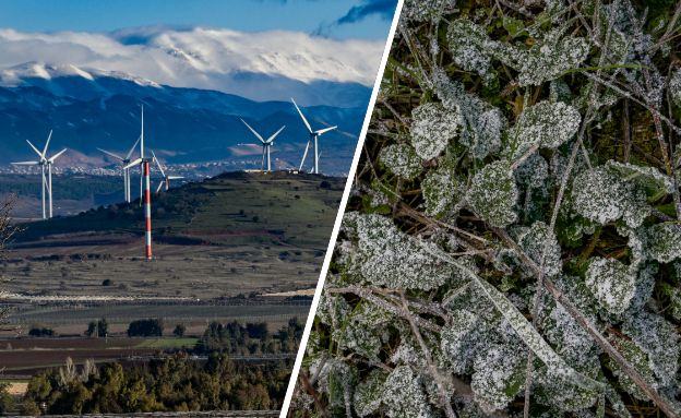 שלג בחרמון (צילום: מיכאל גלעדי, Flash 90)