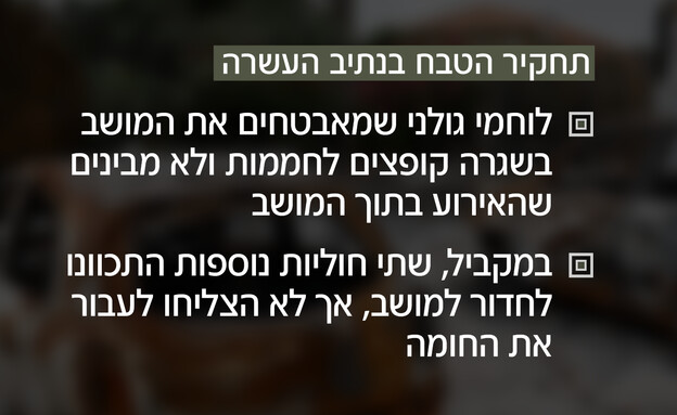 תחקיר הטבח בנתיב העשרה