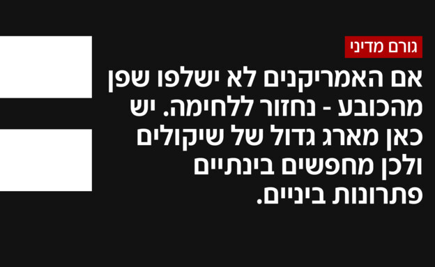 גורם מדיני