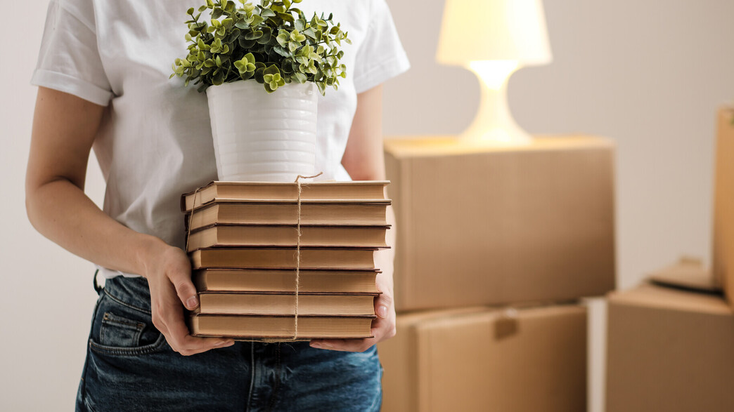 אילוסטרציה