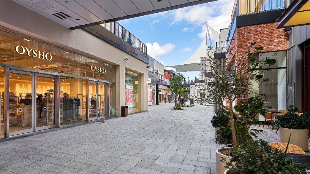 ביג פאשן גלילות