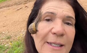 ריר חלזונות (צילום: טיק טוק)