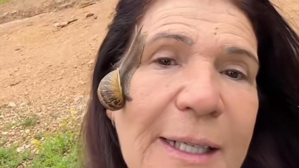 ריר חלזונות ריר חלזונות