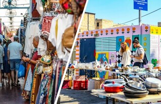 פשפשים חיפה 1 (צילום: ניר בלזיצקי דוברות עיריית חיפה / מתוך הפייסבוק של עיריית תל אביב)