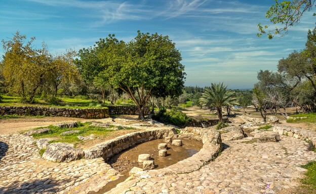 ארכיאולוגיה פארק קנדה (צילום: Yonatan Stern, shutterstock)