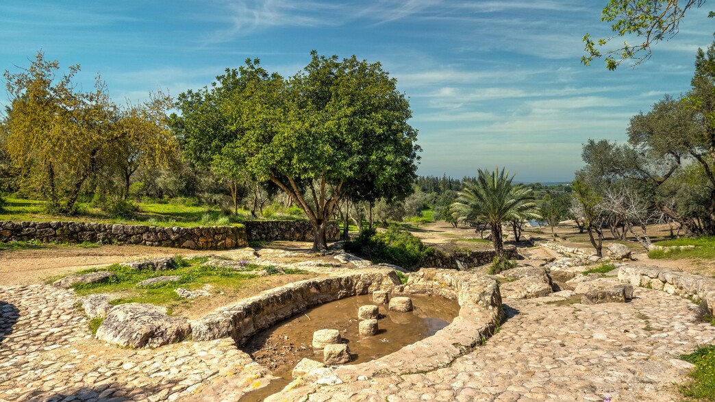 ארכיאולוגיה פארק קנדה ארכיאולוגיה פארק קנדה