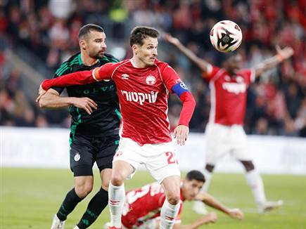 והתנפלה מהרגע הראשון (צילום: אלן שיבר)