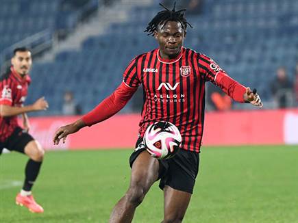 (צילום: ברני ארדוב) (צילום: ברני ארדוב)