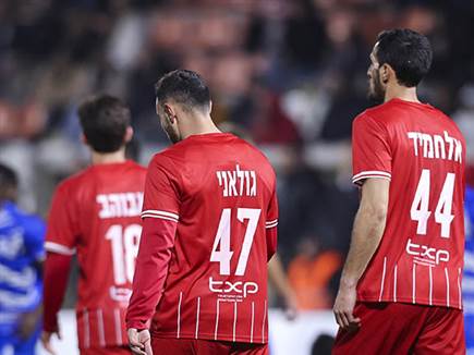 (מאור אלקסלסי) (מאור אלקסלסי)